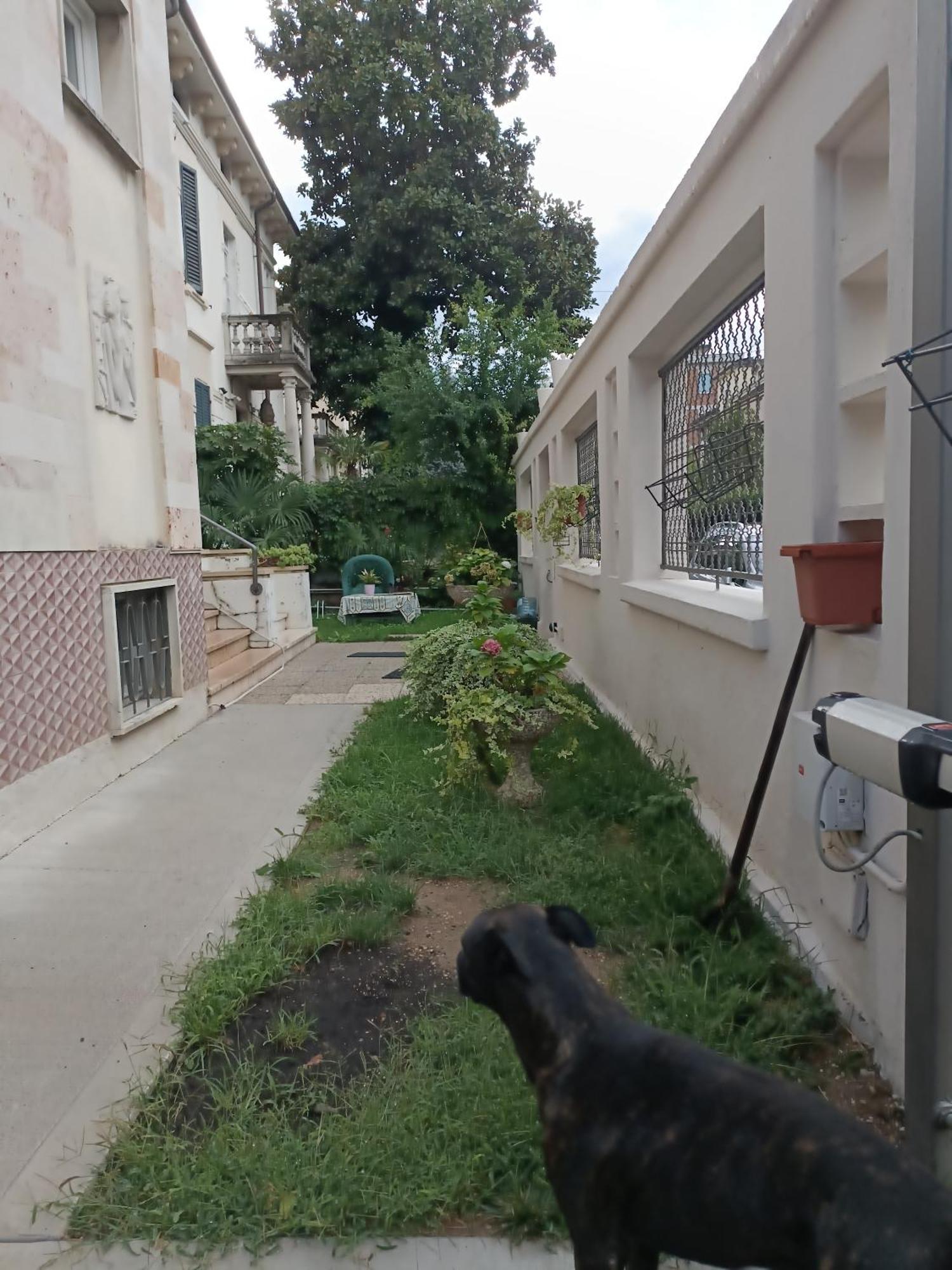 B&B Mavipagi Verona Dış mekan fotoğraf