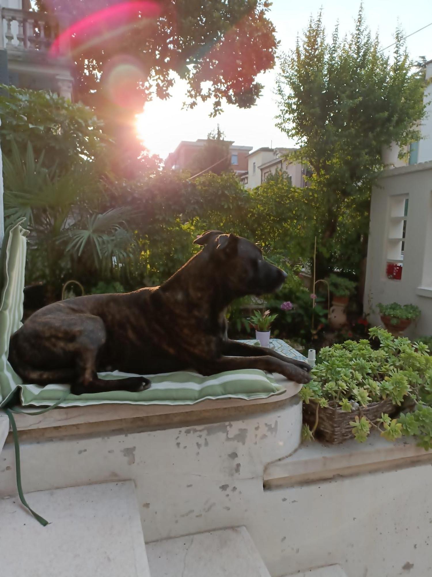 B&B Mavipagi Verona Oda fotoğraf