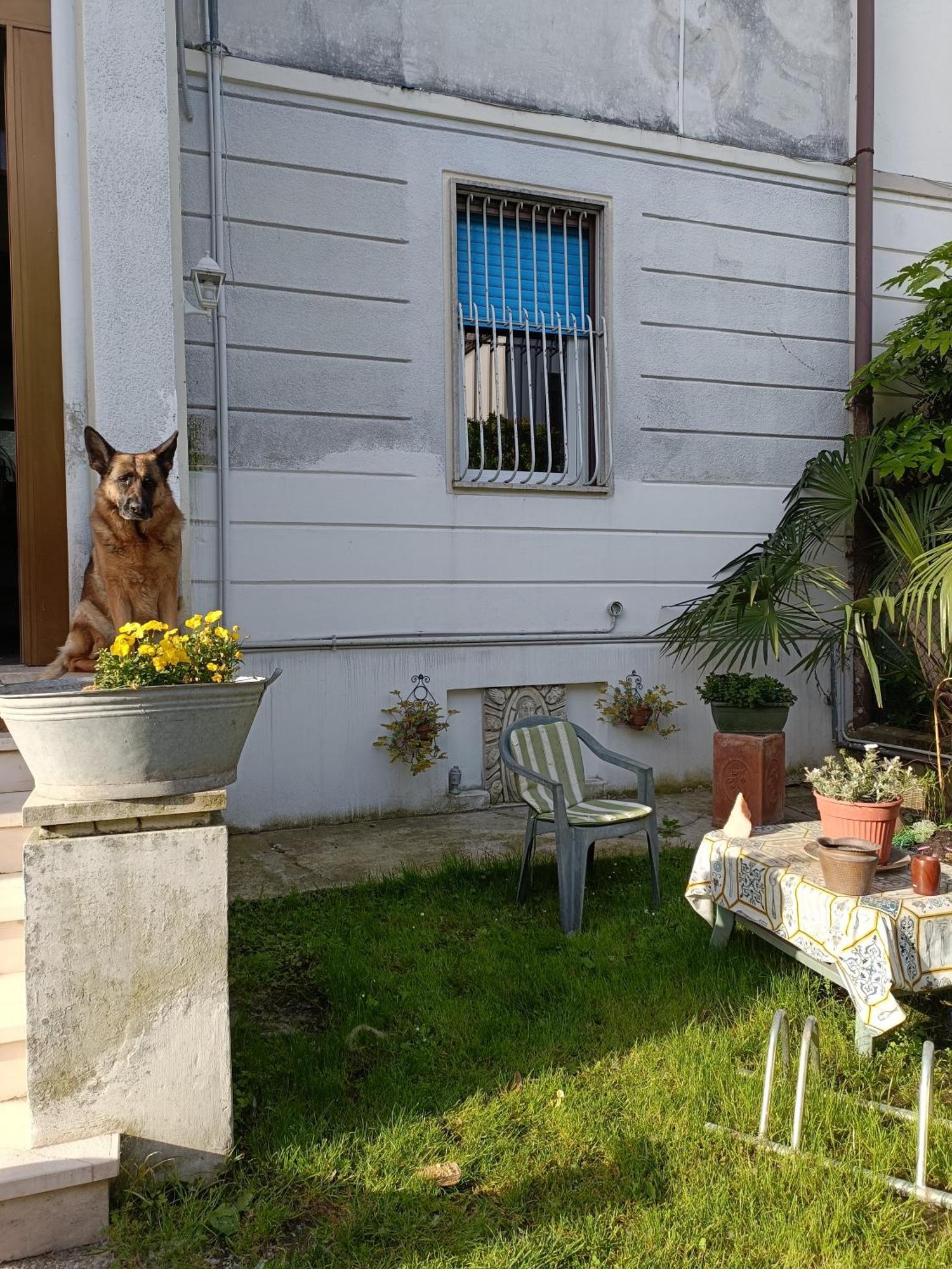 B&B Mavipagi Verona Dış mekan fotoğraf