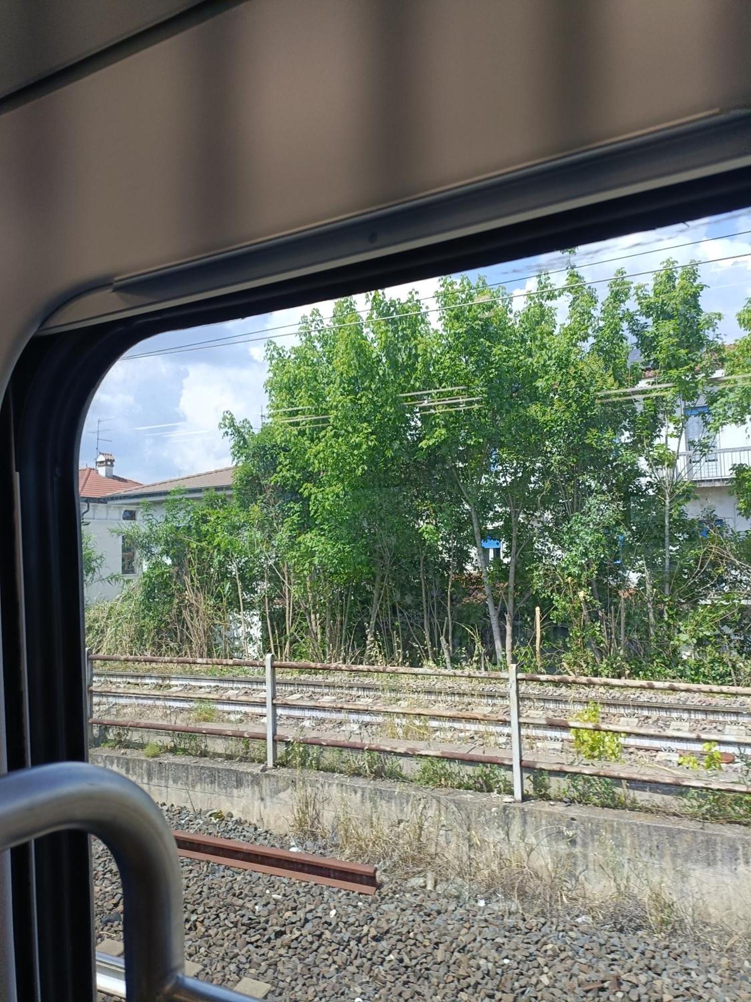 B&B Mavipagi Verona Dış mekan fotoğraf