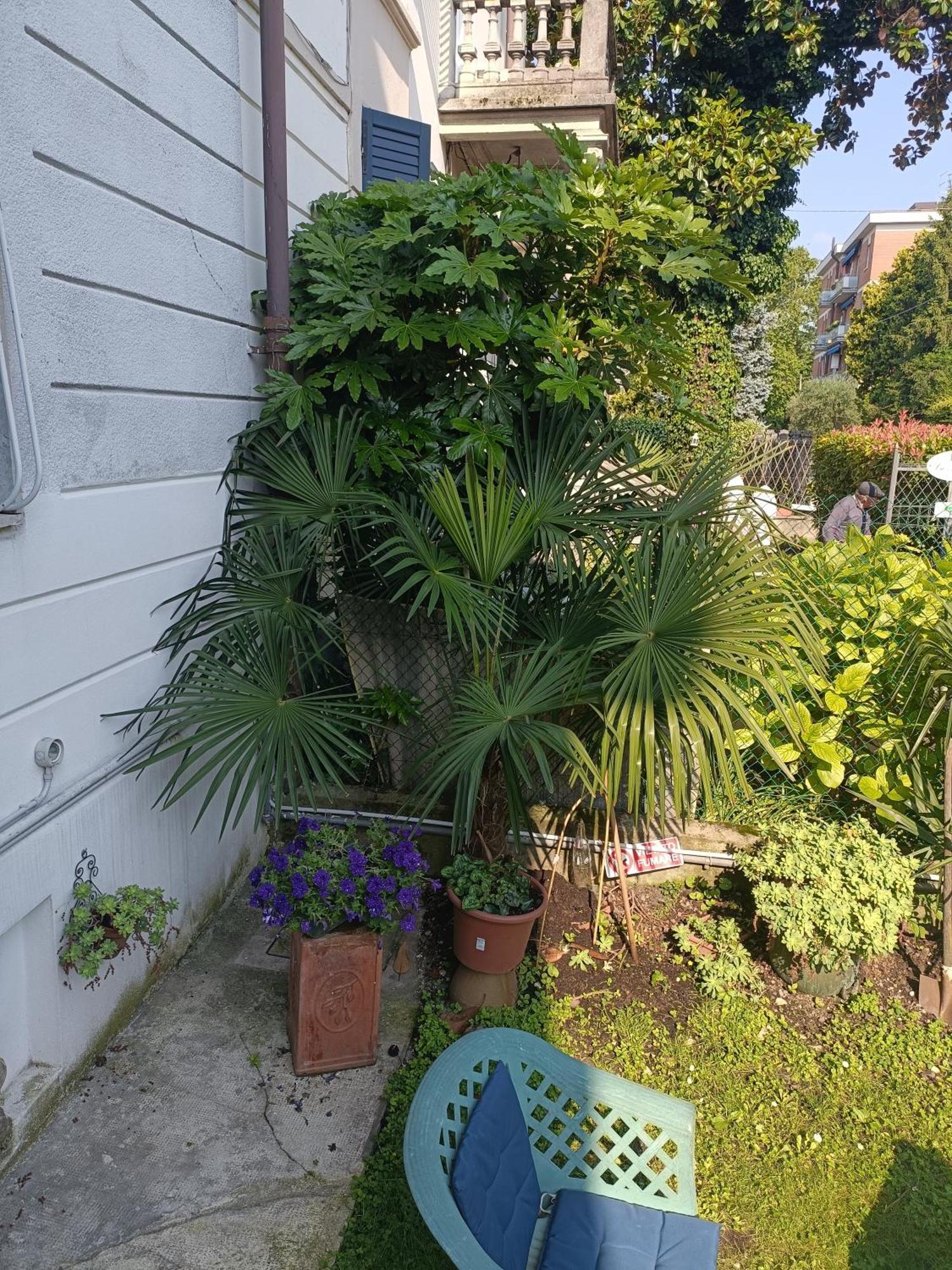 B&B Mavipagi Verona Dış mekan fotoğraf